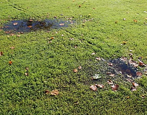 The Hidden Damage Water Runoff Can Cause Around Your Home