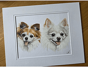 Milo and Maddie: two little dogs, one no longer here