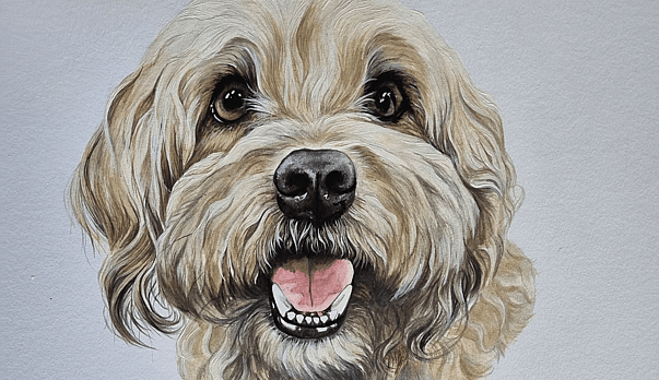 Monty, home again: a memorial dog portrait