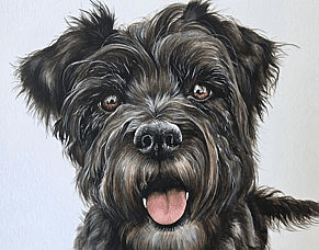Chelsea -capturing a soul dog x