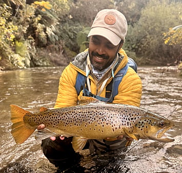 Autumn brown trout in Rotorua New Zealand