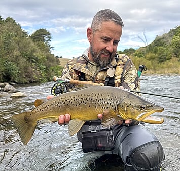 Beautiful North Island New Zealand brown trout