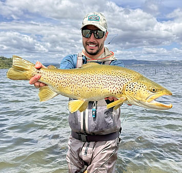 Lake Rotorua trophy brown trout sight fishing on the lake flats