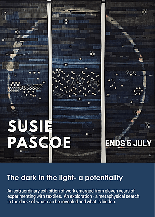 The dark in the light by Susie Pascoe