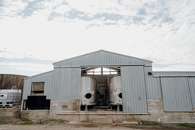 dairy vat calving season monitoring