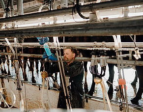 Calving Season Teat Care: A Simple Checklist to Reduce Mastitis Risk