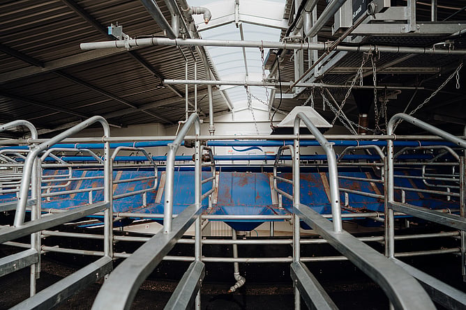 dairy shed hygiene calving season checklist