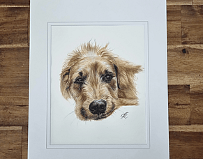Percy: a memorial portrait for a once-in-a- lifetime dog