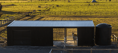 Farm shed