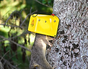 Mangatarere Predator Free Workshop