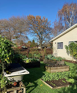 Image of Te Puna Wairoa, Desert Spring Community Garden and centre in Hamilton