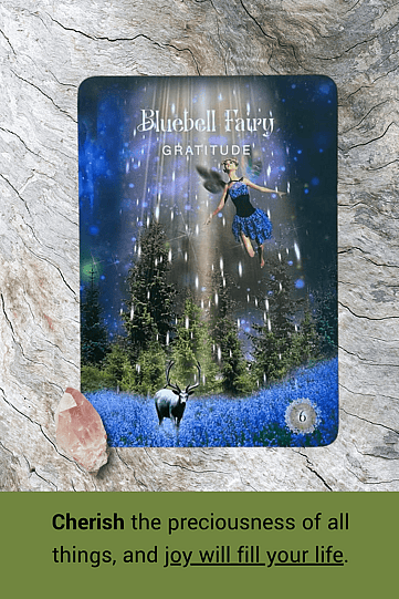 Bluebell Fairy Oracle Card from The Sacred Forest Oracle pictured on some tree bark with a pink crystal