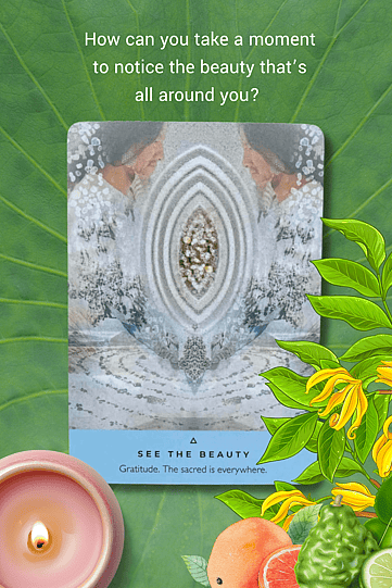 See The Beauty Oracle Card from The Ancient Stones Oracle Deck by Rebecca Campbell. Pictured on a green leaf representing the sacred with a pink candle, a ylang ylang branch, a grapegruit and a bergamot symbolising essential oils to help you experience gratitude deeper