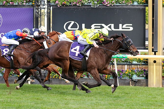 Detonator Jack claims victory in the Listed Winter Championship Final (1600m) at Flemington. - Photo: Bruno Cannatelli
