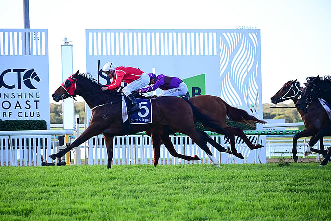 Cellarmaster produced a powerful finishing burst to capture Saturday's Gr.3 Winx Guineas (1600m). - Photo: Grant Peters