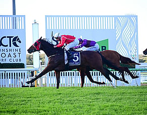 Cellarmaster storms home to claim Winx Guineas