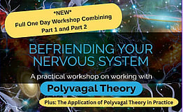 Polyvagal Parts 1&2 Combined - 25 NovemberZOOM workshop