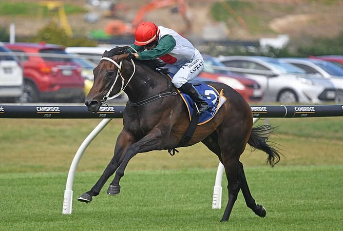 Merchant Queen  - Photo: Kenton Wright (Race Images)
