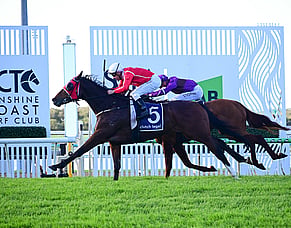 Leicester popping Moet following Cellarmaster&rsquo;s Guineas triumph