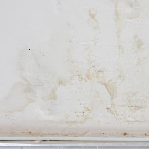 water stained ceiling needing internal gutter replacement