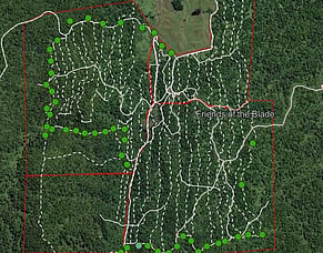 What We've Been Up To