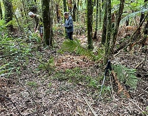 Vegetation Monitoring