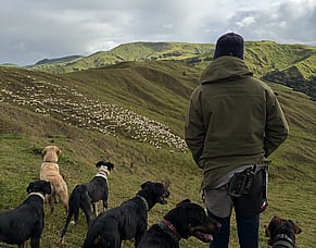 Search underway for Emerging Rural Professional of the Year