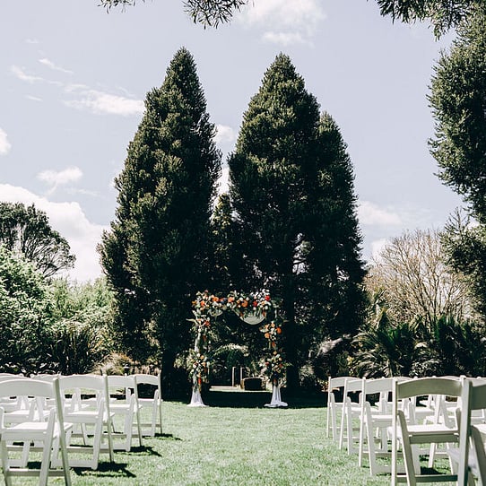 Two Kauri Trees Ceremony