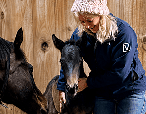 Meet the Breeder - Bradbury Park