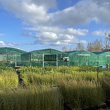 THE NURSERY - LEARN MORE