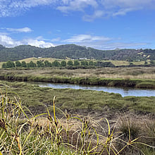 RIVERBANK RESTORATION - LEARN MORE