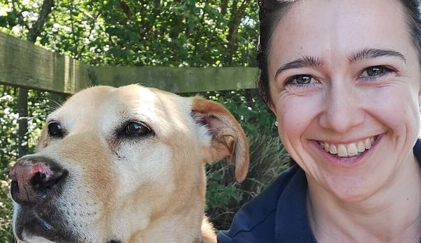 Controversial opinion: I don&rsquo;t buy into the &ldquo;it&rsquo;s never the dog&rdquo; argument.