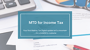 Your first Making Tax Digital update isn't a mountain ... it's a molehill in costume