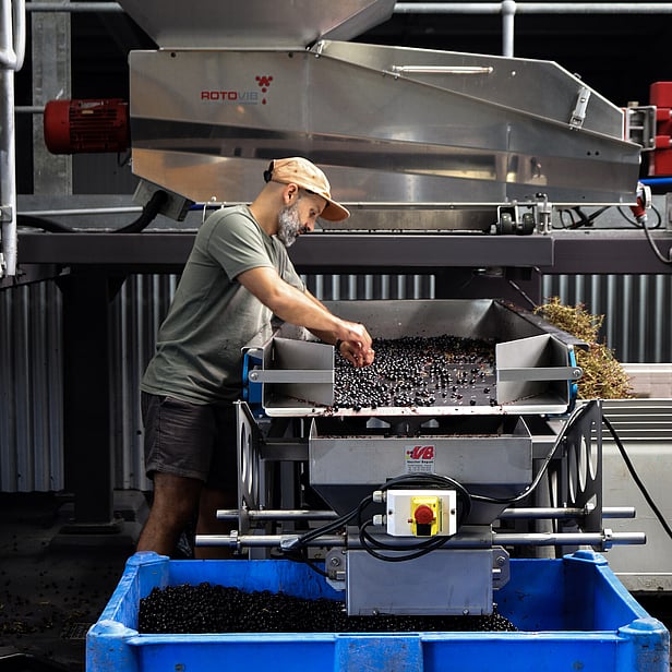 waiheke wine made onsite at Batch Winery