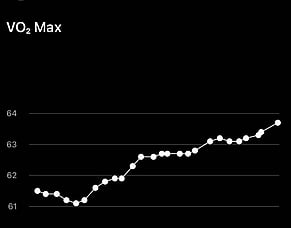 Hyperbaric Oxygen Therapy Helps Improve VO2Max