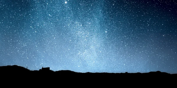 Herenga Waka: Gathering together for biosecurity this Matariki