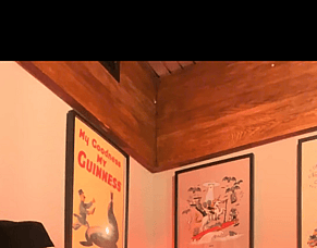 Dog Friendly In Wellington