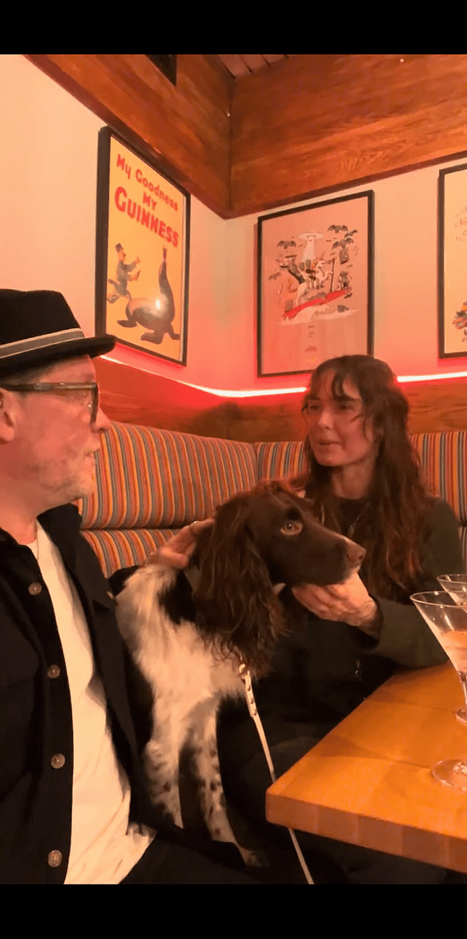 Dog Friendly Wellington - The Tasting Room