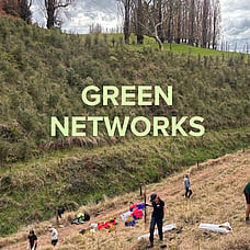 Green Networks