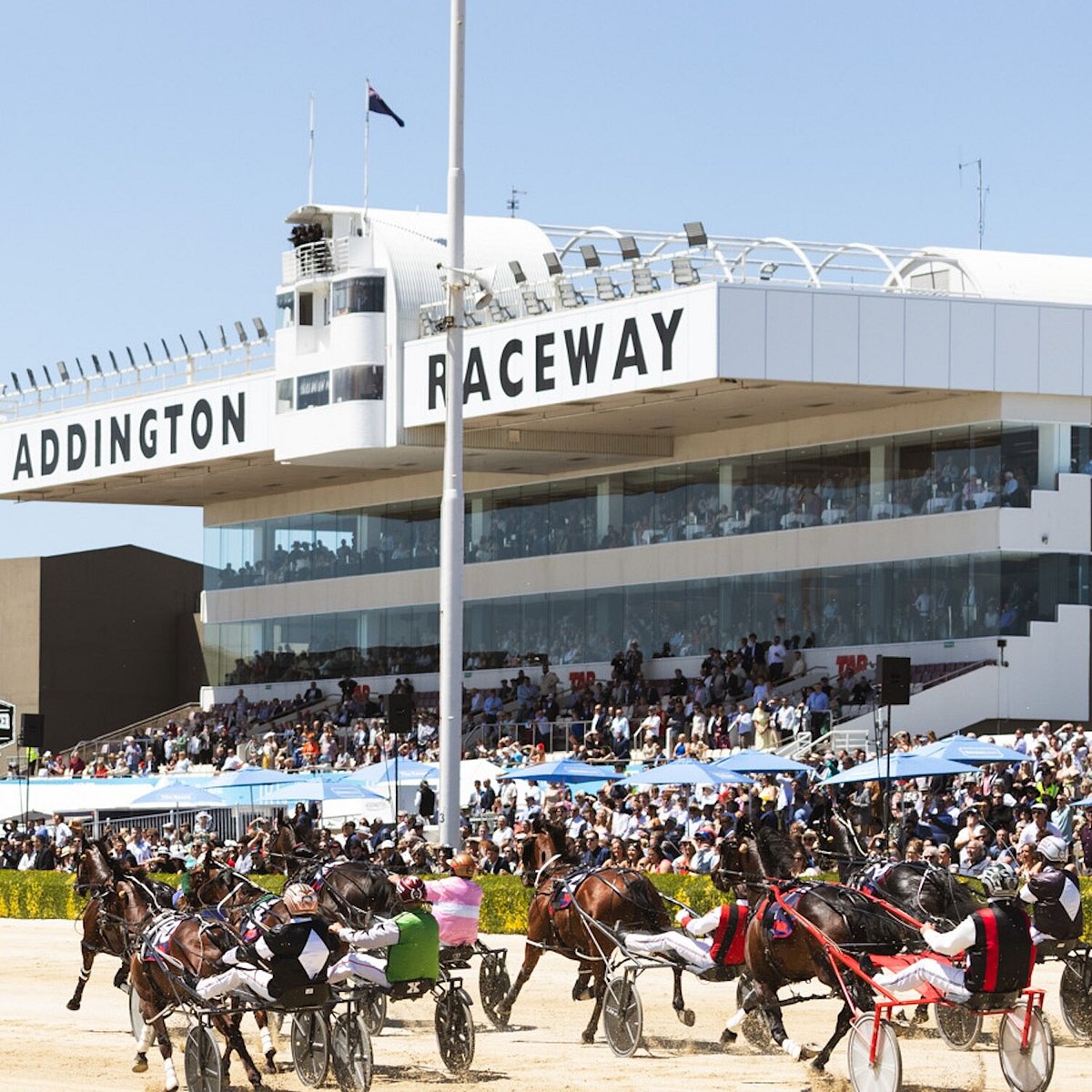 Trotting Cup Day Christchurch | NZ Horse Racing Festival | Addington ...