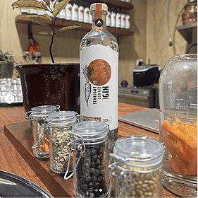 Premium gin botanicals including juniper, coriander seed, orris root