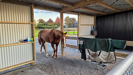 Horses yards