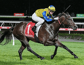 Kiwi Chronicles &ndash; Late bookings?
