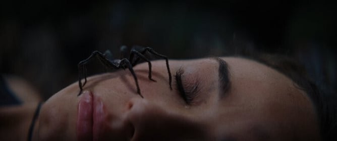 Tubi FrightFest 2026 main screen horror films