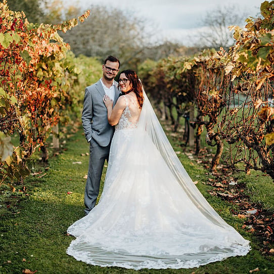 Autumn in the Vines