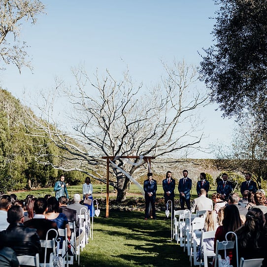 Chestnut Tree Ceremony in August