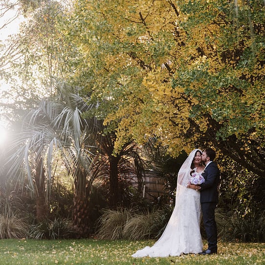 Couple infront of Yellow Tree