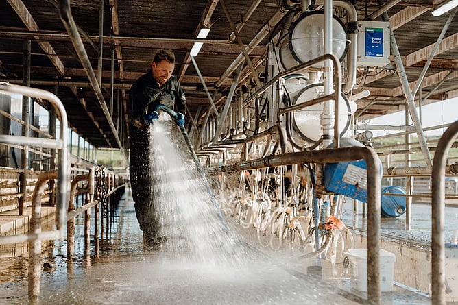 Dairy shed milking plant being deep-cleaned with a Deosan chlorinated alkaline bomb wash