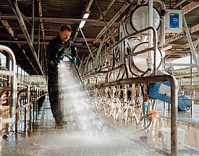 The Dairy Shed Bomb Wash: Hitting the Reset Button on Plant Hygiene