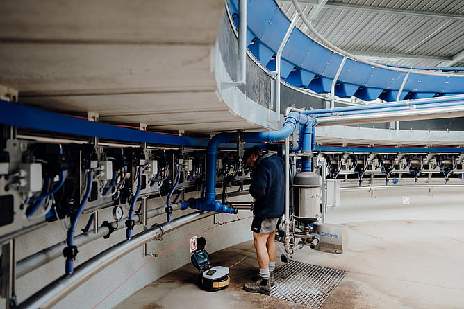 Milkstone scale and residue buildup on the milk-contact surface of a dairy milking plant
